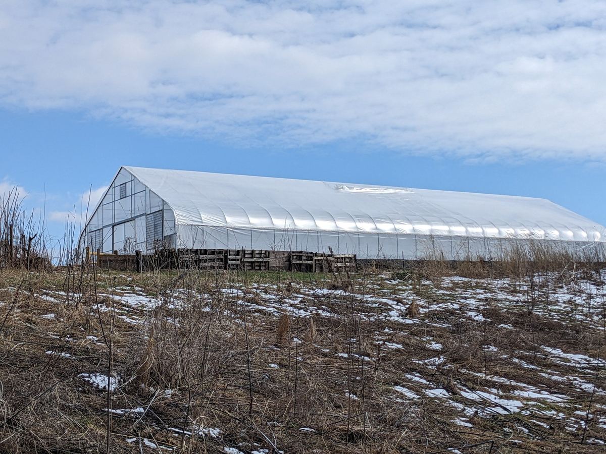 The Go Native! Perennials greenhouse across a wintry field at Limeledge.