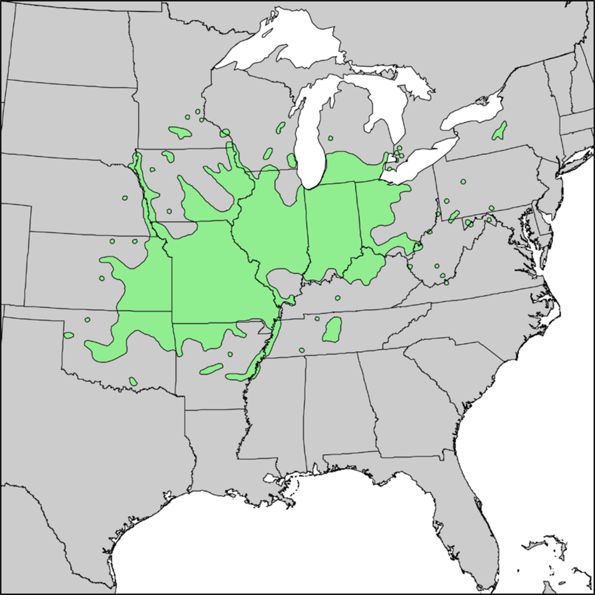 Map showing the native range of Kentucky coffeetree in the United States.