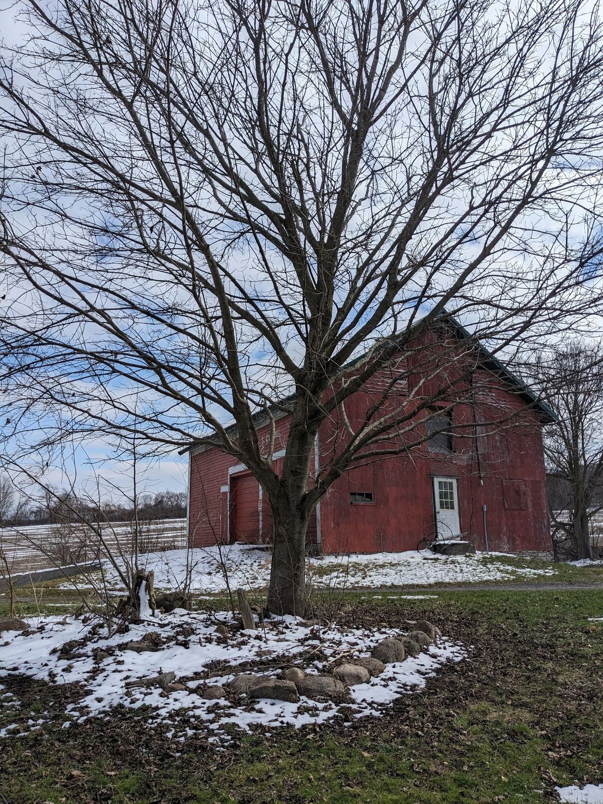 A weathered red barn and leafless tree with patches of snow on the ground.