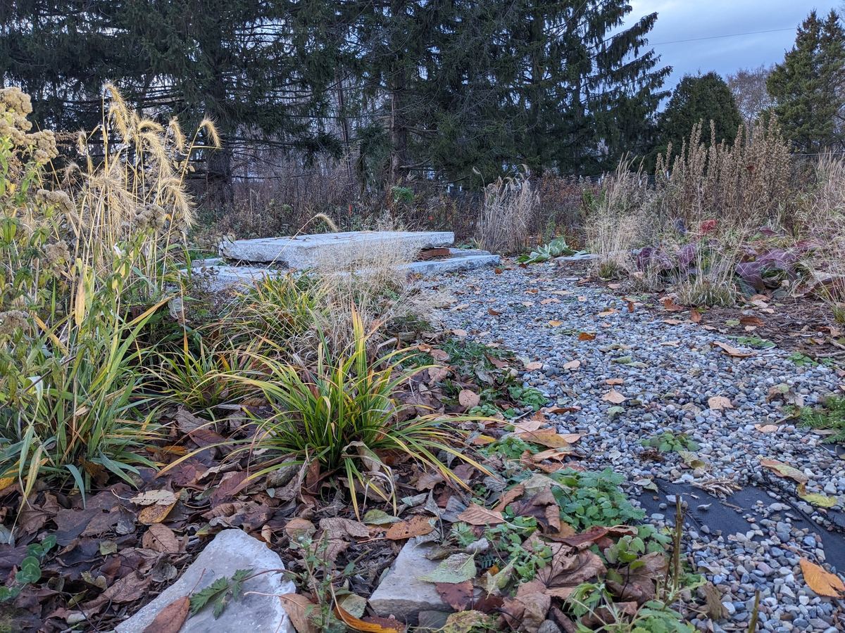 A gravel path, stone bench, and late-season plantings in the Memorial Garden.