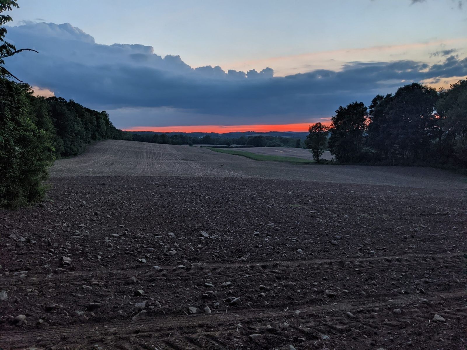 Sunset over the Limeledge farm landscape.