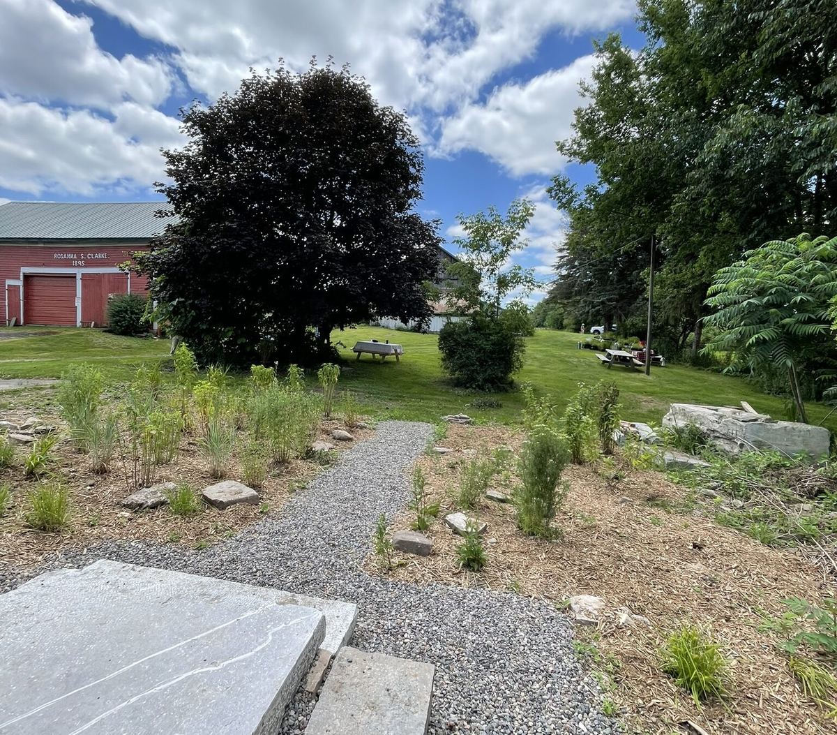 A developing garden area at Limeledge with the historic red barn beyond.