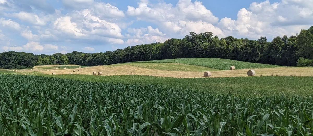 Fields and hay bales across the Limeledge landscape.